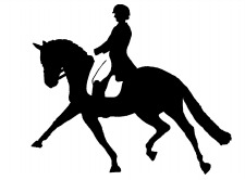 Ride/Critique/Ride with Ann Marie Gregoire